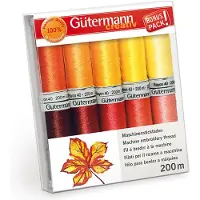 Gütermann borduurgarenset 10st, col.1