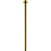 Hotbath Archie AR454 plafondbuis 50cm geborsteld messing PVD