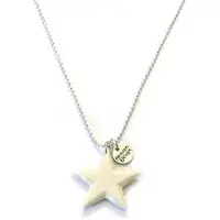 Heaven Eleven - dames ketting - Ibiza - Edelstaal rvs ballchain met een ster van hertegewei handgemaakt - 74cm