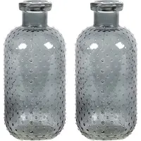 Countryfield Bloemenvaas Cactus Dots - 2x - donkergrijs transparant - glas - D11 x H24 cm