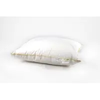 Princessdekbedden Anti-allergisch Hoofdkussen -60X70cm- 2stuks