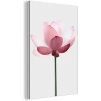 MuchoWow Wanddecoratie Metaal - Aluminium Schilderij Industrieel - Bloemen - Roze - Natuur - Botanisch - 40x60 cm - Dibond - Foto op aluminium - Industriële muurdecoratie - Voor de woonkamer/slaapkamer