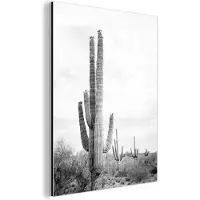 MuchoWow Wanddecoratie Metaal - Aluminium Schilderij Industrieel - Cactus - Zwart wit - Natuur - Planten - 60x80 cm - Dibond - Foto op aluminium - Industriële muurdecoratie - Voor de woonkamer/slaapkamer