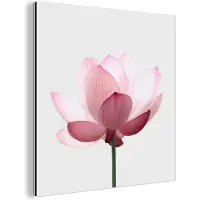 MuchoWow Wanddecoratie Metaal - Aluminium Schilderij Industrieel - Bloemen - Roze - Natuur - Botanisch - 90x90 cm - Dibond - Foto op aluminium - Industriële muurdecoratie - Voor de woonkamer/slaapkamer