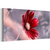 MuchoWow Wanddecoratie Metaal - Aluminium Schilderij Industrieel - Bloemen - Rood - Natuur - Planten - 120x60 cm - Dibond - Foto op aluminium - Industriële muurdecoratie - Voor de woonkamer/slaapkamer