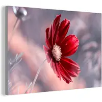 MuchoWow Wanddecoratie Metaal - Aluminium Schilderij Industrieel - Bloemen - Rood - Natuur - Planten - 180x120 cm - Dibond - Foto op aluminium - Industriële muurdecoratie - Voor de woonkamer/slaapkamer