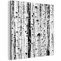 MuchoWow Wanddecoratie Metaal - Aluminium Schilderij Industrieel - Bomen - Hout - Zwart wit - Natuur - 20x20 cm - Dibond - Foto op aluminium - Industriële muurdecoratie - Voor de woonkamer/slaapkamer