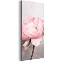 MuchoWow Wanddecoratie Metaal - Aluminium Schilderij Industrieel - Bloemen - Roze - Natuur - Plant - 20x40 cm - Dibond - Foto op aluminium - Industriële muurdecoratie - Voor de woonkamer/slaapkamer