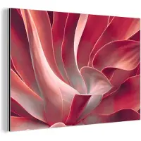 MuchoWow Wanddecoratie Metaal - Aluminium Schilderij Industrieel - Stilleven - Bladeren - Plant - Roze - 30x20 cm - Dibond - Foto op aluminium - Industriële muurdecoratie - Voor de woonkamer/slaapkamer