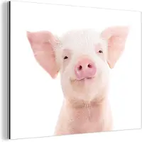 MuchoWow Wanddecoratie Metaal - Aluminium Schilderij Industrieel - Varken - Roze - Dieren - Natuur - 160x120 cm - Dibond - Foto op aluminium - Industriële muurdecoratie - Voor de woonkamer/slaapkamer