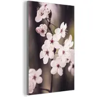 MuchoWow Wanddecoratie Metaal - Aluminium Schilderij Industrieel - Bloemen - Wit - Natuur - Plant - Bloesem - 60x90 cm - Dibond - Foto op aluminium - Industriële muurdecoratie - Voor de woonkamer/slaapkamer