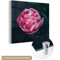 MuchoWow Glasschilderij 20x20 cm - Schilderij acrylglas - Bloemen - Roze - Rozen - Foto op glas - Schilderijen