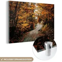 MuchoWow Glasschilderij 30x20 cm - Schilderij acrylglas - Herfstbos - Pad - Bladeren - Landelijk - Foto op glas - Schilderijen