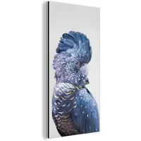 MuchoWow Wanddecoratie Metaal - Aluminium Schilderij Industrieel - Kaketoe - Blauw - Dieren - Natuur - 80x160 cm - Dibond - Foto op aluminium - Industriële muurdecoratie - Voor de woonkamer/slaapkamer