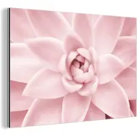MuchoWow Wanddecoratie Metaal - Aluminium Schilderij Industrieel - Bloem - Roze - Natuur - Plant - 60x40 cm - Dibond - Foto op aluminium - Industriële muurdecoratie - Voor de woonkamer/slaapkamer