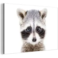 MuchoWow Wanddecoratie Metaal - Aluminium Schilderij Industrieel - Wasbeer - Dieren - Natuur - Wit - 120x80 cm - Dibond - Foto op aluminium - Industriële muurdecoratie - Voor de woonkamer/slaapkamer