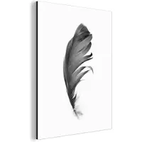 MuchoWow Wanddecoratie Metaal - Aluminium Schilderij Industrieel - Veer - Zwart - Wit - Natuur - 60x80 cm - Dibond - Foto op aluminium - Industriële muurdecoratie - Voor de woonkamer/slaapkamer