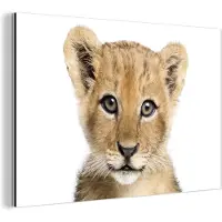 MuchoWow Wanddecoratie Metaal - Aluminium Schilderij Industrieel - Leeuw - Dieren - Natuur - Wit - 30x20 cm - Dibond - Foto op aluminium - Industriële muurdecoratie - Voor de woonkamer/slaapkamer