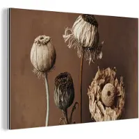 MuchoWow Wanddecoratie Metaal - Aluminium Schilderij Industrieel - Bloemen - Planten - Droogbloemen - Bruin - 150x100 cm - Dibond - Foto op aluminium - Industriële muurdecoratie - Voor de woonkamer/slaapkamer