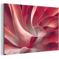 MuchoWow Wanddecoratie Metaal - Aluminium Schilderij Industrieel - Stilleven - Bladeren - Plant - Roze - 180x120 cm - Dibond - Foto op aluminium - Industriële muurdecoratie - Voor de woonkamer/slaapkamer