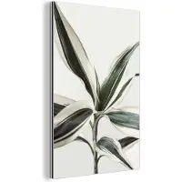 MuchoWow Wanddecoratie Metaal - Aluminium Schilderij Industrieel - Planten - Groen - Natuur - Wit - 60x90 cm - Dibond - Foto op aluminium - Industriële muurdecoratie - Voor de woonkamer/slaapkamer