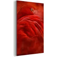 MuchoWow Wanddecoratie Metaal - Aluminium Schilderij Industrieel - Tropisch - Vogel - Rood - Dieren - 20x30 cm - Dibond - Foto op aluminium - Industriële muurdecoratie - Voor de woonkamer/slaapkamer