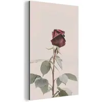 MuchoWow Wanddecoratie Metaal - Aluminium Schilderij Industrieel - Bloemen - Rood - Rozen - Groen - 20x30 cm - Dibond - Foto op aluminium - Industriële muurdecoratie - Voor de woonkamer/slaapkamer