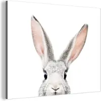 MuchoWow Wanddecoratie Metaal - Aluminium Schilderij Industrieel - Konijn - Dieren - Natuur - Wit - 40x30 cm - Dibond - Foto op aluminium - Industriële muurdecoratie - Voor de woonkamer/slaapkamer