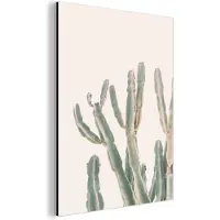 MuchoWow Wanddecoratie Metaal - Aluminium Schilderij Industrieel - Cactus - Plant - Groen - Natuur - 120x160 cm - Dibond - Foto op aluminium - Industriële muurdecoratie - Voor de woonkamer/slaapkamer