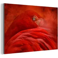 MuchoWow Wanddecoratie Metaal - Aluminium Schilderij Industrieel - Tropisch - Vogel - Rood - Dieren - 120x80 cm - Dibond - Foto op aluminium - Industriële muurdecoratie - Voor de woonkamer/slaapkamer