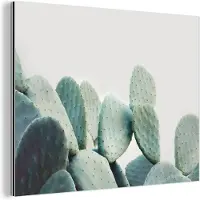 MuchoWow Wanddecoratie Metaal - Aluminium Schilderij Industrieel - Cactus - Groen - Plant - Natuur - 120x90 cm - Dibond - Foto op aluminium - Industriële muurdecoratie - Voor de woonkamer/slaapkamer