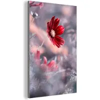 MuchoWow Wanddecoratie Metaal - Aluminium Schilderij Industrieel - Bloemen - Rood - Natuur - Planten - 120x180 cm - Dibond - Foto op aluminium - Industriële muurdecoratie - Voor de woonkamer/slaapkamer