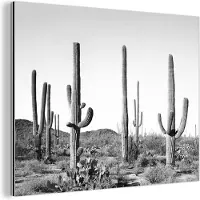 MuchoWow Wanddecoratie Metaal - Aluminium Schilderij Industrieel - Cactussen - Zwart wit - Natuur - Landschap - 80x60 cm - Dibond - Foto op aluminium - Industriële muurdecoratie - Voor de woonkamer/slaapkamer