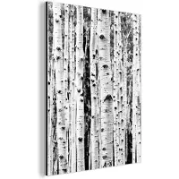 MuchoWow Wanddecoratie Metaal - Aluminium Schilderij Industrieel - Bomen - Hout - Zwart wit - Natuur - 90x120 cm - Dibond - Foto op aluminium - Industriële muurdecoratie - Voor de woonkamer/slaapkamer