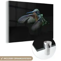 MuchoWow Glasschilderij 120x80 cm - Schilderij acrylglas - Kolibrie - Vogel - Veren - Zwart - Foto op glas - Schilderijen