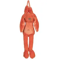 Happy horse Konijn Richie Muziekknuffel - Oranje - Baby cadeau