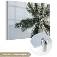 MuchoWow Glasschilderij 180x120 cm - Schilderij acrylglas - Palmboom - Tropical - Zomer - Foto op glas - Schilderijen
