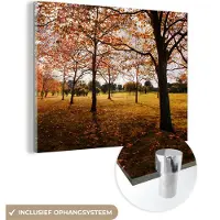 MuchoWow Glasschilderij 160x120 cm - Schilderij acrylglas - Herfst - Herfstbladeren - Natuur - Foto op glas - Schilderijen