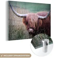 MuchoWow Glasschilderij 180x120 cm - Schilderij acrylglas - Schotse Hooglander - Hoorns - Gras - Foto op glas - Schilderijen