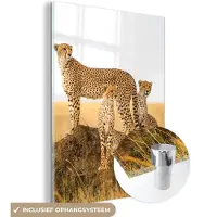MuchoWow Glasschilderij - Cheetah - Dieren - Gras - Natuur - Wanddecoratie - Acrylglas - Foto op glas - 120x160 cm - Schilderij glas - Muurdecoratie - Glasschilderij woonkamer