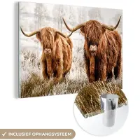 MuchoWow Glasschilderij 180x120 cm - Schilderij acrylglas - Schotse hooglander - Koe - Dieren - Foto op glas - Schilderijen