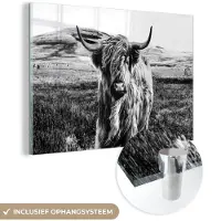 MuchoWow Glasschilderij 180x120 cm - Schilderij acrylglas - Zwart - Wit - Schotse Hooglander - Gras - Foto op glas - Schilderijen