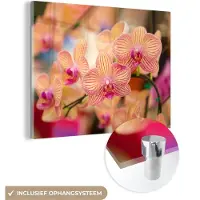 MuchoWow Glasschilderij 160x120 cm - Schilderij acrylglas - Plant - Orchidee - Bloemen - Roze - Flora - Foto op glas - Schilderijen
