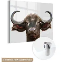 MuchoWow Glasschilderij 160x120 cm - Schilderij acrylglas - Buffel - Waterbuffel - Kop - Koe - Horens - Jongens - Meisjes - Foto op glas - Schilderijen