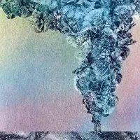 Konkurrent Daughn Gibson - Carnation (LP) (Coloured Vinyl)