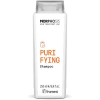 Framesi Morphosis Purifying Shampoo