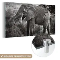 MuchoWow Glasschilderij 160x80 cm - Schilderij acrylglas - Olifant - Dieren - Bomen - Zwart - Wit - Foto op glas - Schilderijen