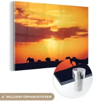 MuchoWow Glasschilderij 180x120 cm - Schilderij acrylglas - Olifanten - Horizon - Zonsondergang - Dieren - Foto op glas - Schilderijen