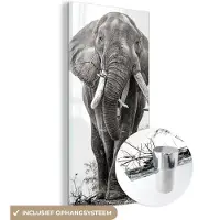 MuchoWow Glasschilderij 40x80 cm - Schilderij acrylglas - Olifant - Portret - Dieren - Zwart wit - Foto op glas - Schilderijen