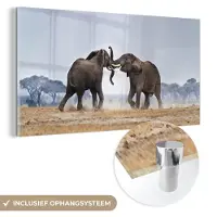 MuchoWow Glasschilderij 80x40 cm - Schilderij acrylglas - Olifant - Dieren - Vlakte - Natuur - Foto op glas - Schilderijen